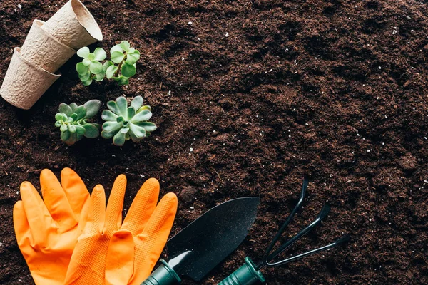 Вид сверху на зеленые растения, садовые инструменты, пустые горшки и резиновые перчатки на почве — стоковое фото