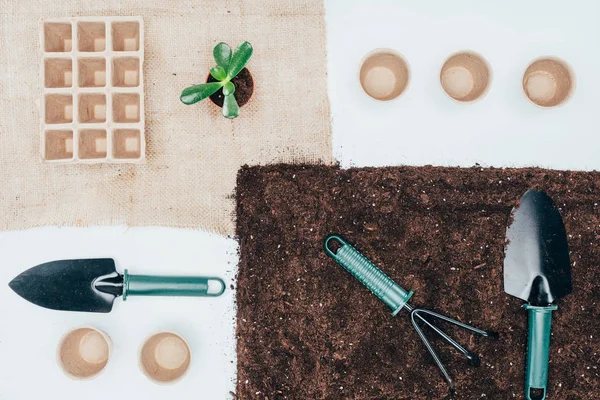 Вид на зеленые горшки, пустые горшки, почву и садовые инструменты на сером — стоковое фото