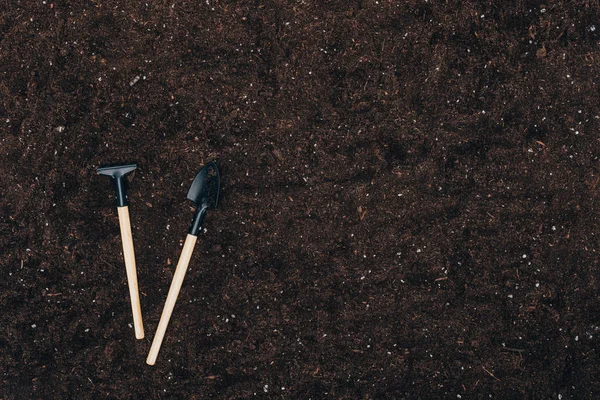 Vista superior de las herramientas de jardinería en el suelo con espacio para copiar - foto de stock