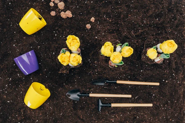 Vista superior de flores amarillas que crecen en el suelo, herramientas de jardinería y macetas en el suelo - foto de stock