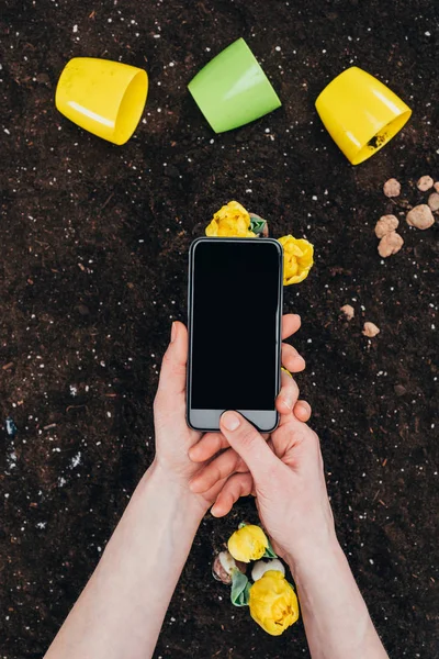 Обрізаний знімок людини за допомогою смартфона з порожнім екраном і красивими жовтими квітами з горщиками на землі — стокове фото