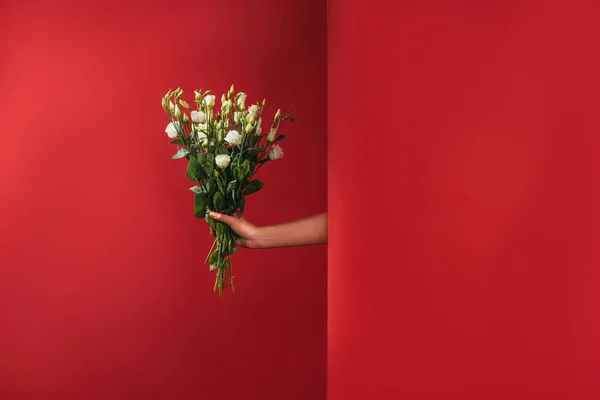 Plan recadré de la personne tenant beau bouquet de fleurs d'eustomie blanches sur rouge — Photo de stock