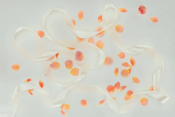 Top view of beautiful tender rose petals and ribbon on grey — Stock Photo