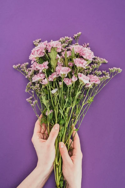 Primer plano vista parcial de la persona que sostiene hermosas flores de color rosa en violeta - foto de stock