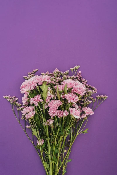 Strauß schöner rosa Chrysanthemenblüten auf Veilchen — Stockfoto