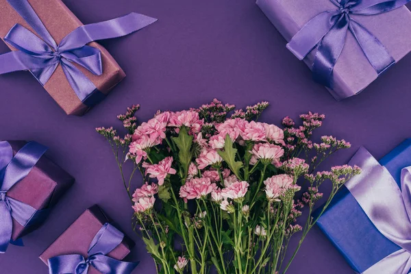 Beautiful blooming chrysanthemum flowers and gift boxes on violet — Stock Photo