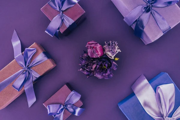 Верхний вид подарочных коробок с фиолетовыми лентами и красивыми цветами на фиолетовый — стоковое фото