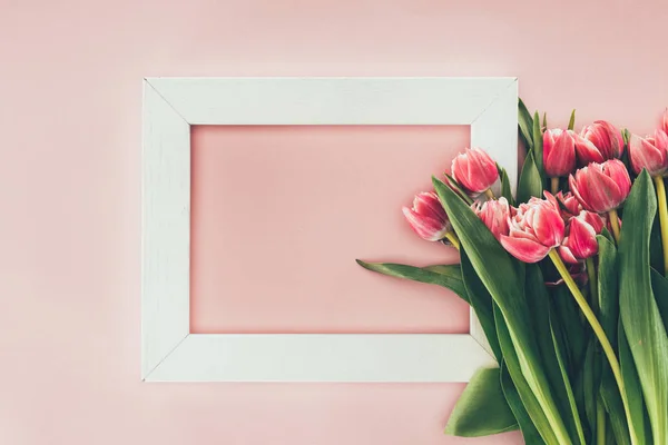 Schöne rosa Tulpenblüten mit grünen Blättern und leerem weißen Rahmen auf rosa — Stockfoto