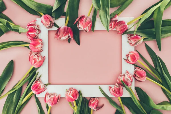 Belles tulipes roses avec feuilles vertes et cadre blanc vide sur rose — Photo de stock