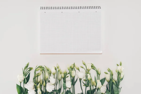 Belas flores brancas e caderno em branco em cinza — Fotografia de Stock