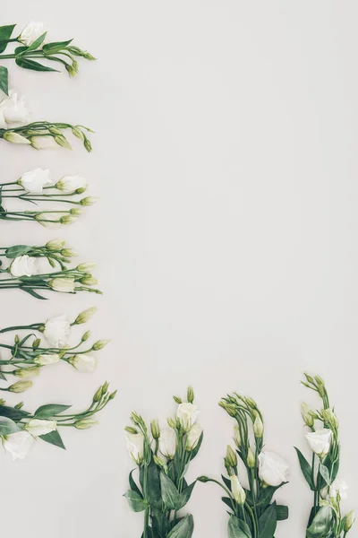 Schöne weiße Eustoma-Blüten auf grauem Hintergrund — Stockfoto