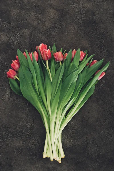 Vista superior de hermosas flores de tulipán rojo en la superficie oscura - foto de stock