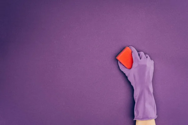 Cropped image of woman holding washing sponge in protective glove isolated on violet — Stock Photo