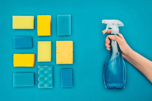 Imagem cortada de mulher segurando frasco de spray perto de esponjas de lavagem isoladas em azul — Fotografia de Stock