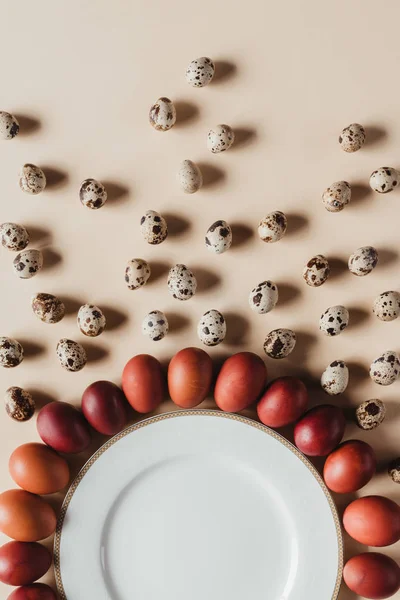 Flat lay with quail and chicken easter eggs around plate — Stock Photo