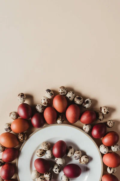 Puesta plana con codorniz y huevos de pascua de pollo alrededor del plato - foto de stock