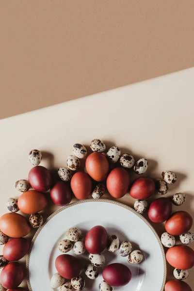 Top view of quail and chicken easter eggs around plate — Stock Photo