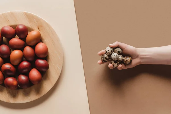 Top view of painted easter eggs on plate and person with quail eggs in hand — Stock Photo