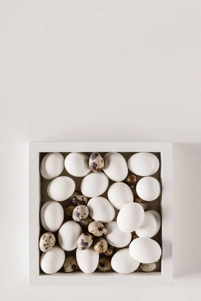 Top view of chicken and quail eggs in box on white — Stock Photo