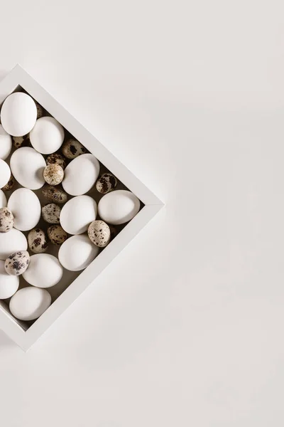 Vue du dessus des oeufs de poulet et de caille en boîte, isolé sur blanc — Photo de stock