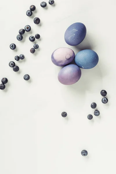 Vista superior de huevos pintados tradicionales de Pascua violeta y arándanos sobre gris - foto de stock
