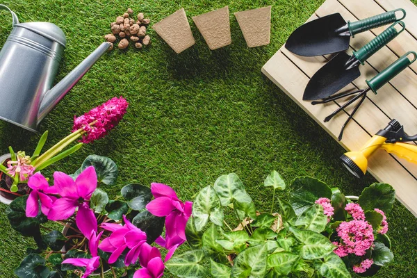 Vista superior de flores e equipamento de jardinagem arranjado na grama — Fotografia de Stock