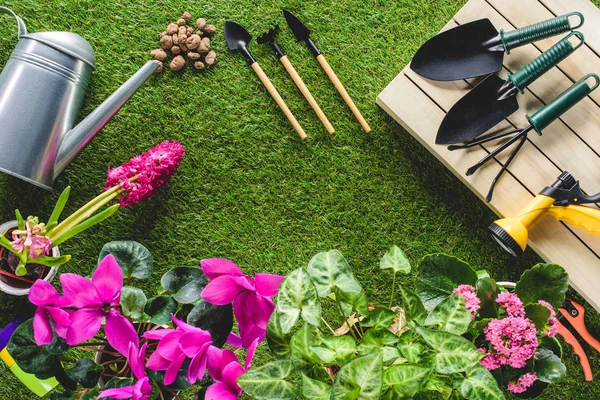 Blick von oben auf arrangierte Gartengeräte und Blumen auf Gras — Stockfoto