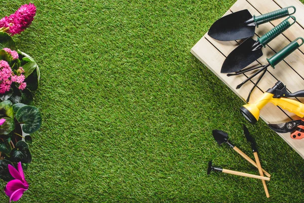 Top view of flowers and arranged gardening equipment on planks — Stock Photo