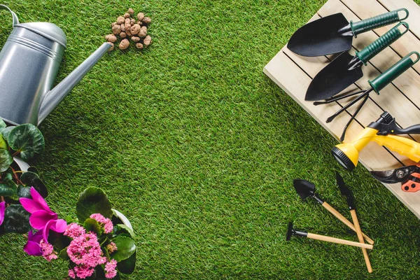 Vista superior del equipo de jardinería arreglado y flores en la hierba - foto de stock