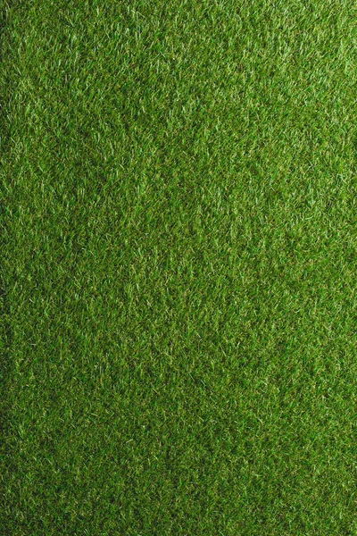 Full frame image of green lawn background — Stock Photo