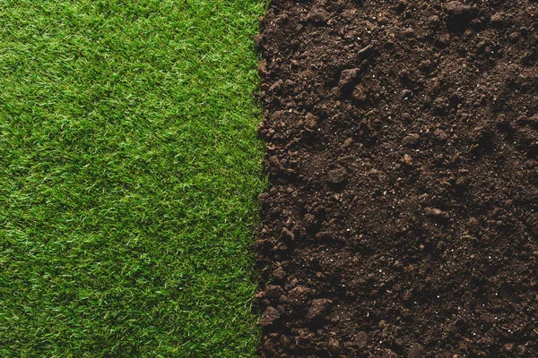 Top view of green lawn and soil background — Stock Photo