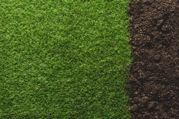 Top view of green lawn and soil background — Stock Photo