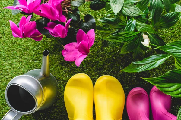 Vue de dessus des bottes en caoutchouc colorées, arrosoir et fleurs — Photo de stock