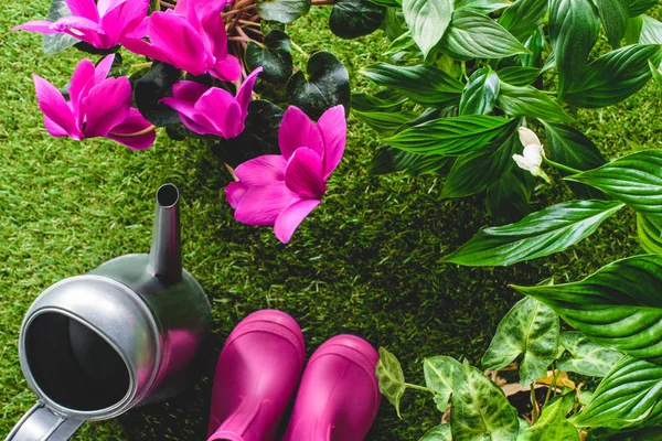 Top view of rubber boots, flowers and watering can — Stock Photo