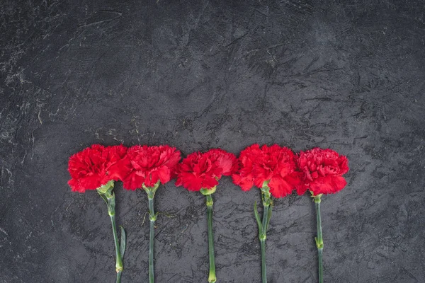 Top view of carnations placed in row on rustic black surface — Stock Photo