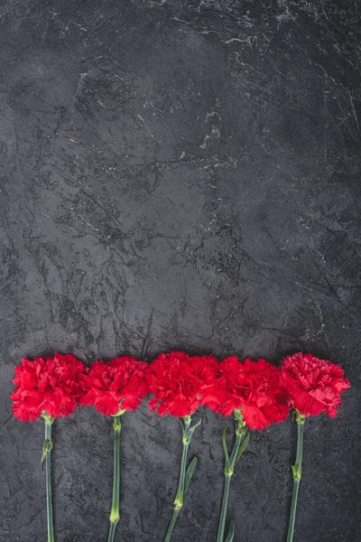 Top view of carnations placed in row on rustic black surface — Stock Photo