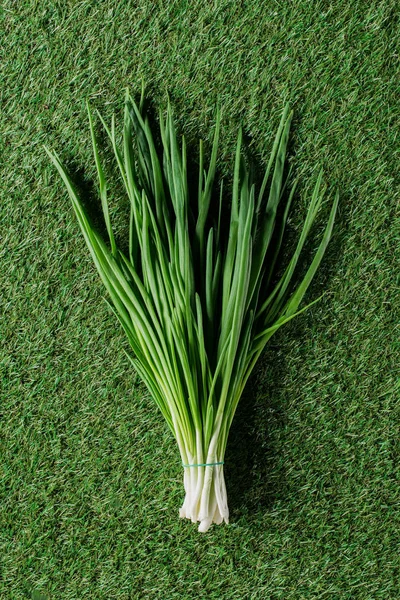 Top view of green onion on grass, healthy eating concept — Stock Photo