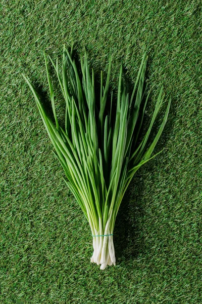 Vue du dessus de l'oignon vert sur l'herbe, concept de saine alimentation — Photo de stock