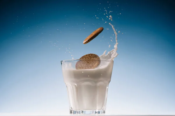 Dolci biscotti spruzzando nel bicchiere di latte su sfondo blu — Foto stock