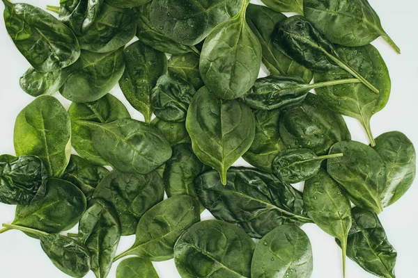 Top view of beautiful fresh green leaves on white — Stock Photo