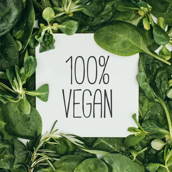 Inscripción 100 por ciento vegana en tarjeta blanca y hojas verdes húmedas - foto de stock