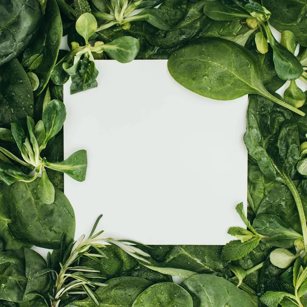 Vista superior de la tarjeta blanca en blanco y hermosas hojas y plantas verdes frescas - foto de stock