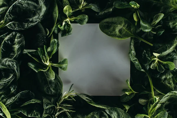 Vue du dessus de la carte blanche vierge et de belles feuilles vertes fraîches — Photo de stock