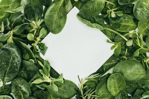 Top view of blank white card and beautiful wet green leaves — Stock Photo