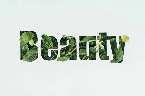 Palabra belleza hecha de hojas verdes frescas aisladas en gris - foto de stock
