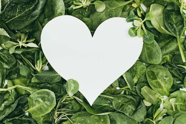 Símbolo del corazón blanco y hermosas hojas verdes húmedas - foto de stock