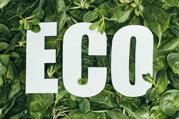 Draufsicht auf frische grüne Blätter mit Tautropfen und der Aufschrift eco — Stockfoto
