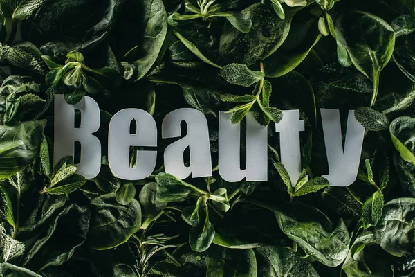 Вид зверху красивого свіжого зеленого листя і краси напис — стокове фото