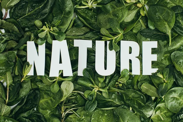 Draufsicht auf schöne frische grüne Blätter mit Wassertropfen und Beschriftung Natur — Stockfoto