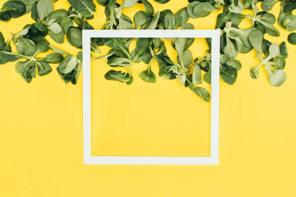 Blank white frame and green leaves on yellow — Stock Photo